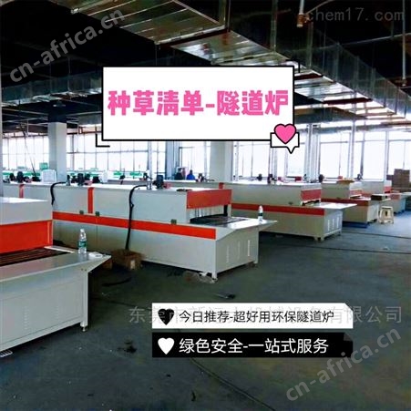 水分速干隧道炉厂家