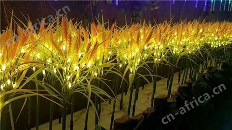 户外LED地插灯彩球防水亮化工程装饰灯节日彩灯