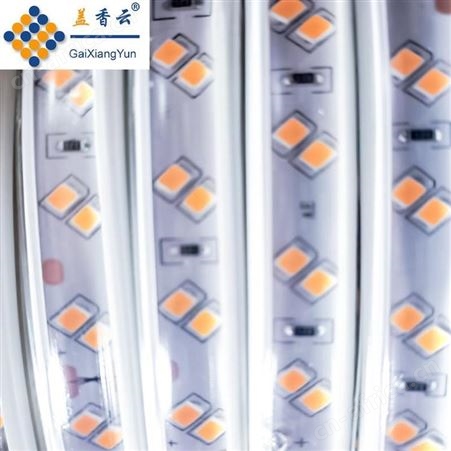 盖香云36V低压LED灯带中性光10mm斜双排2835-120D-带桥堆透镜款