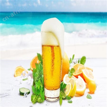 清关报税 啤酒进出口代理清关
