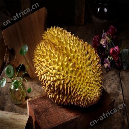 泰国榴莲进口，进口榴莲清关，天津榴莲进口报关，进口水果清关流程