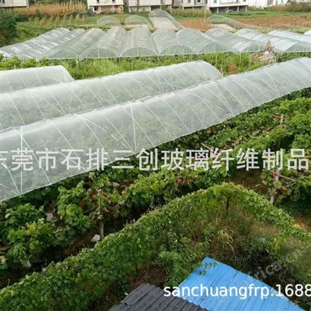 专业生产直销耐腐蚀高弹性小拱棚支架 温室大棚支架 爬藤支柱