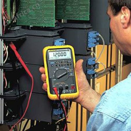 福禄克过程万用表 Fluke 787 高精度手持万用表