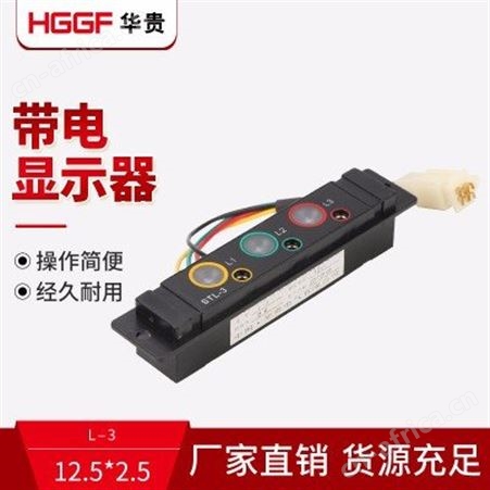 带电显示器，高压显示器，带自检验电带电显示器，华贵电气
