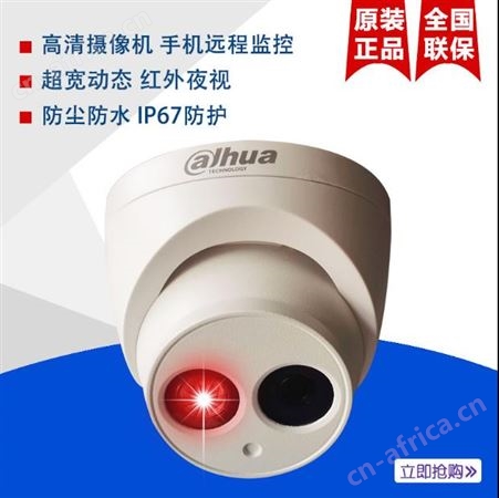 陕西浙江大华核心代理商半球DH-IPC-T12-V3网络摄像机百元机