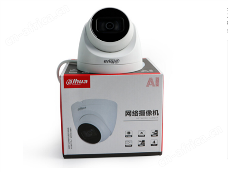 大华星光级网络半球摄像头400万带声音DH-IPC-HDW4443DT-A