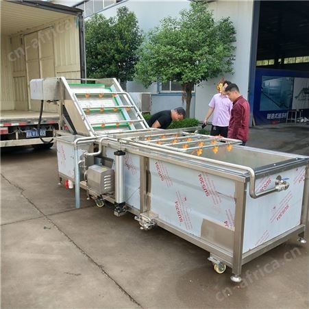 蔬菜气泡清洗机 多功能白菜清洗机 鼓泡式秋葵清洗机