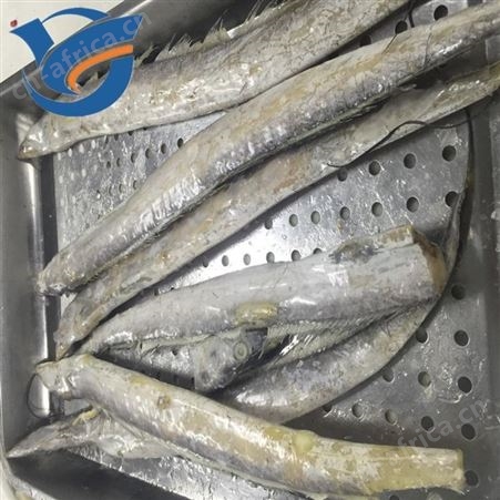 鱿鱼挂冰机 冷冻食品裹冰衣设备 花蛤挂冰机