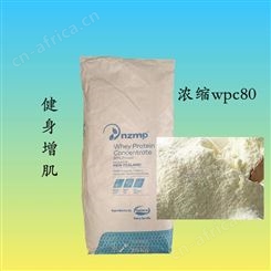 乳清蛋白粉WPC80%热稳定浓缩乳清蛋白营养强化剂