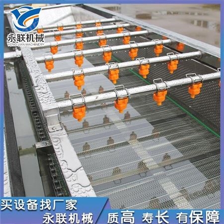 永联二段喷淋蔬菜清洗机 生菜清洗制造线 苦菊清洗机不伤物料
