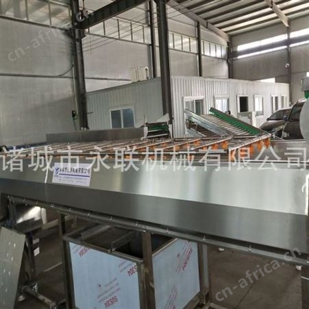 尖尖笋气泡清洗机 叶菜类蔬菜喷淋式清洗机