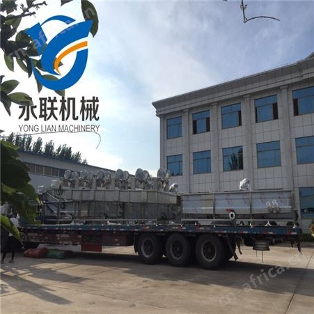 永联全自动净菜加工设备 叶菜类清洗设备 速冻蔬菜加工设备