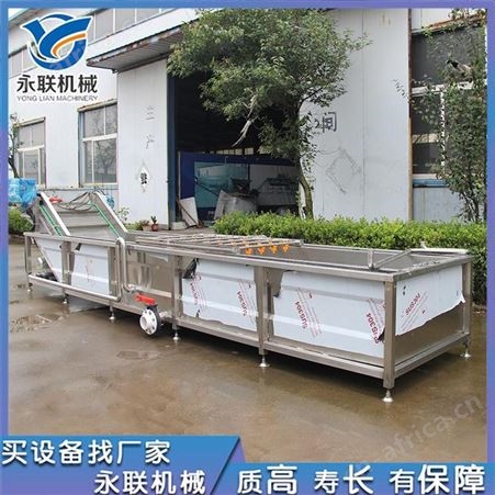 永联二段喷淋蔬菜清洗机 生菜清洗制造线 苦菊清洗机不伤物料