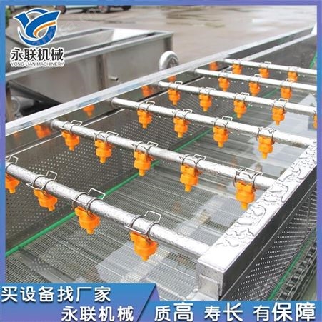 永联二段喷淋蔬菜清洗机 生菜清洗制造线 苦菊清洗机不伤物料