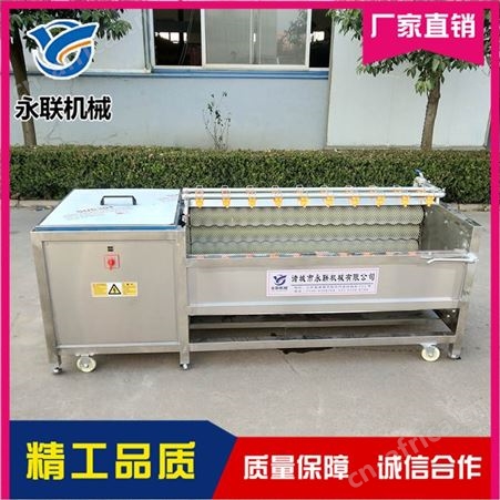 核桃清洗抛光机 红萝卜去皮清洗机 滚筒式毛辊清洗去皮机