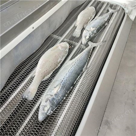 虾夷扇贝速冻机 半壳扇贝速冻隧道 海珍品单冻机