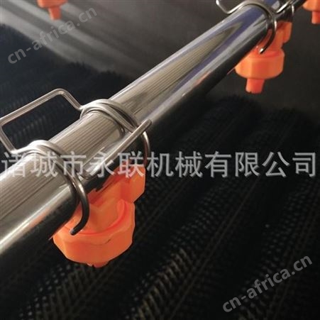 橙子甜橙毛刷喷淋清洗机 山竹木瓜通过式毛刷清洗设备