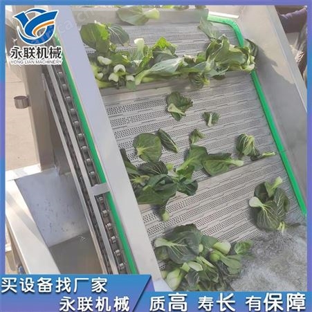 白菜焯水机 山野菜焯水漂烫机 永联全自动焯水机