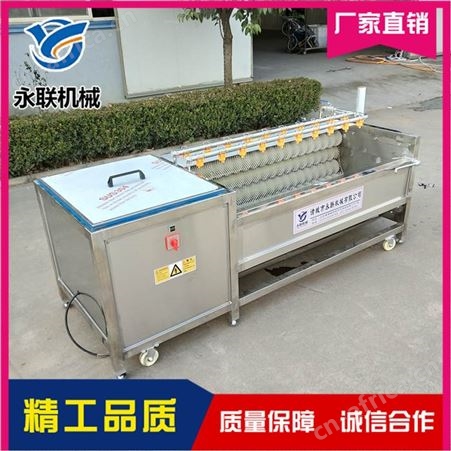 核桃清洗抛光机 红萝卜去皮清洗机 滚筒式毛辊清洗去皮机
