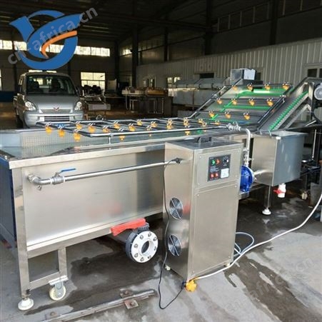 酱腌菜脱盐杀菌清洗机   果蔬深加工流水线 臭氧去农残清洗设备