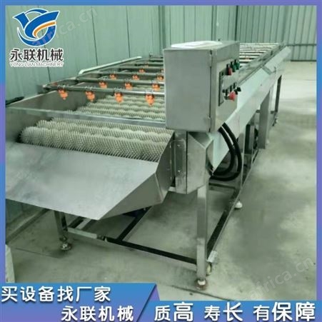 土豆红薯去皮清洗机 海蛎子毛刷清洗机 胡萝卜去皮冲洗机