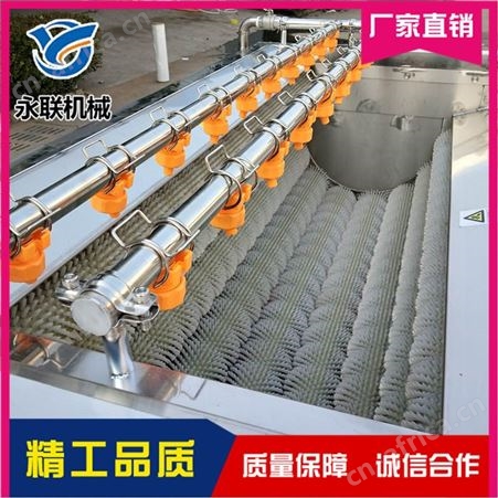 胡萝卜毛刷去皮清洗机 藕带多功能U型毛辊去皮清洗机