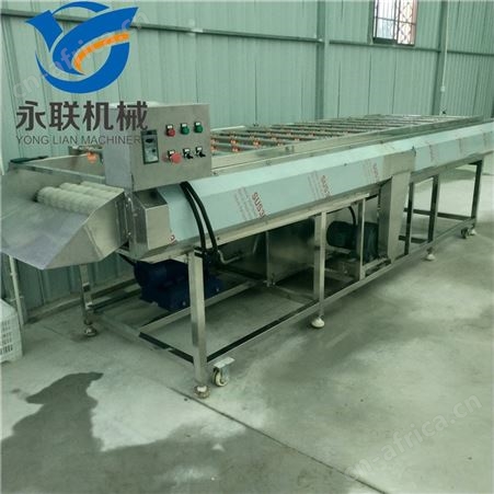 全自动商用平行毛辊清洗机 冬枣高压水喷淋毛刷清洗机