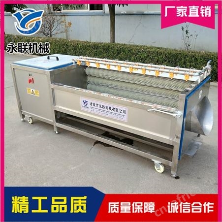 胡萝卜毛刷去皮清洗机 藕带多功能U型毛辊去皮清洗机
