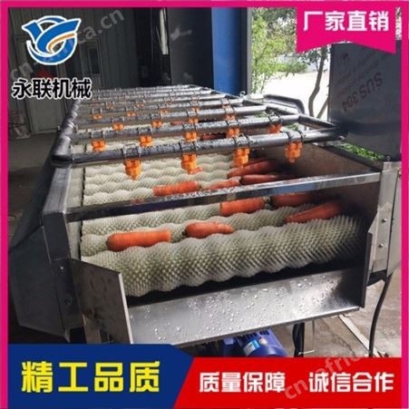 土豆红薯去皮清洗机 海蛎子毛刷清洗机 胡萝卜去皮冲洗机