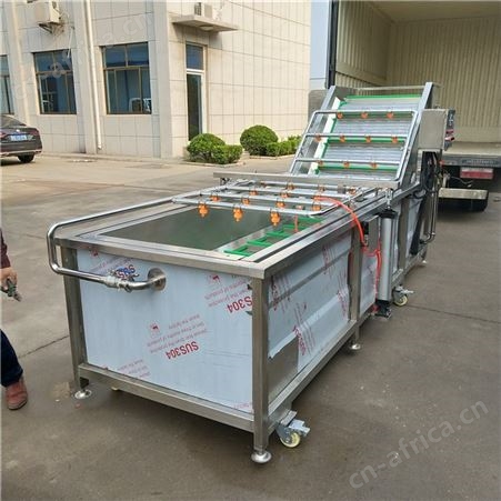 小鱼仔清洗机 全自动海鲜鱼类清洗机 不锈钢气泡清洗机