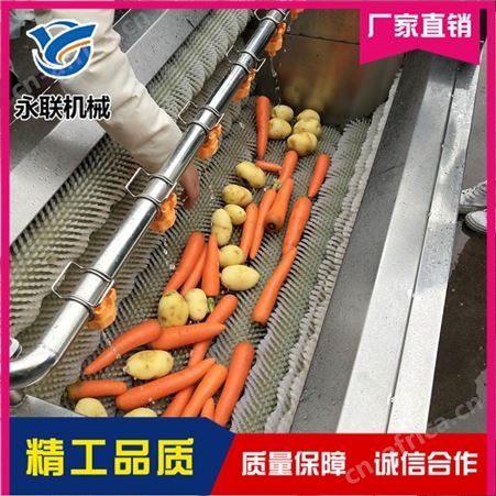 胡萝卜毛刷去皮清洗机 藕带多功能U型毛辊去皮清洗机