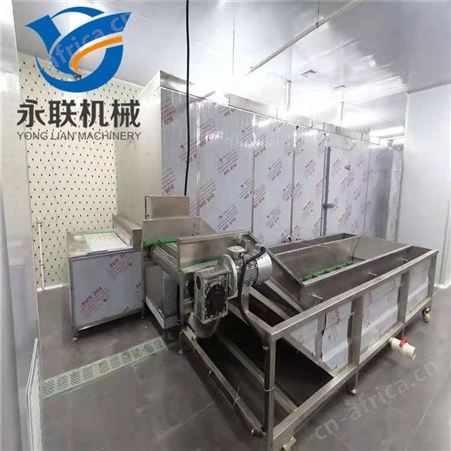 虾夷扇贝速冻机 半壳扇贝速冻隧道 海珍品单冻机
