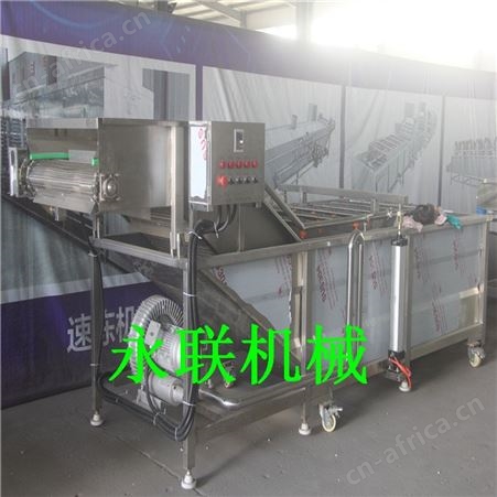 小鱼仔清洗机 全自动海鲜鱼类清洗机 不锈钢气泡清洗机