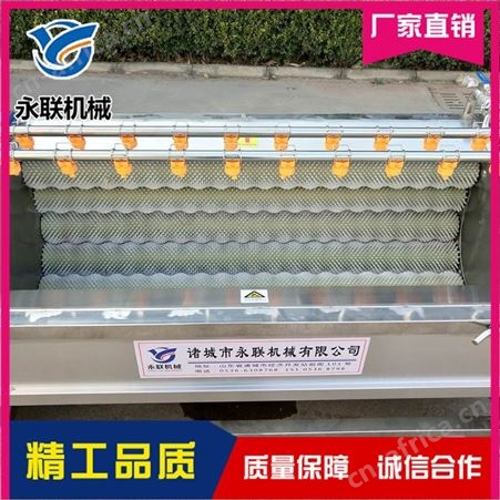 芥菜毛刷清洗机多少钱 永联 牡蛎毛刷清洗机哪里有