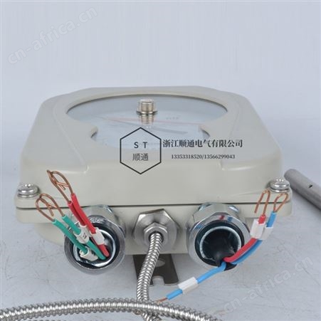 华立BWY-802A（TH）电力变压器油面温度控制器油面温控器温度计