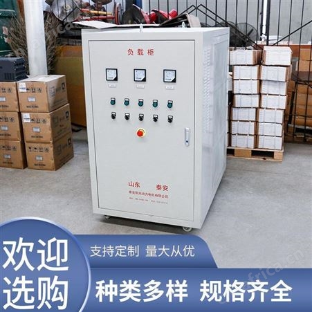山东厂家供应 直流电阻负载箱 智能型发电机负载电阻柜阳光动力