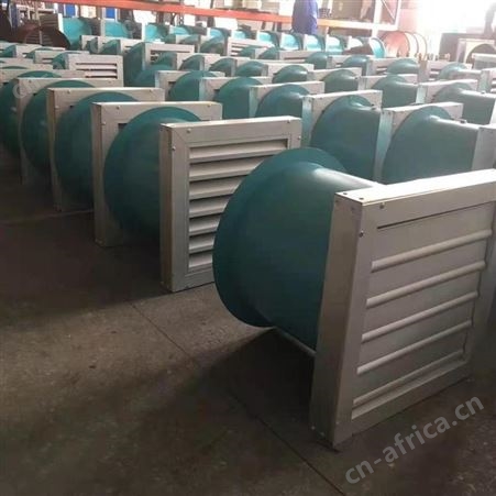 扬兴 轴流风机 防爆轴流风机价格