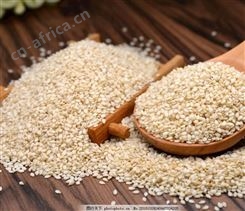 三英芝麻皇教您炒芝麻——哈尔滨熟芝麻厂家批发