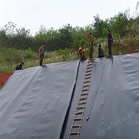 恒瑞通防渗膜厂家定制 人工湖防渗土工膜厂家 养猪场黑膜沼气池