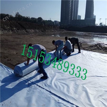 复合土工膜厂家供应价格土工垃圾填埋场人工湖河道防渗HDPE防渗膜