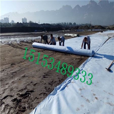 复合土工膜厂家供应价格土工垃圾填埋场人工湖河道防渗HDPE防渗膜