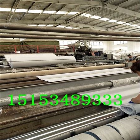 山东恒瑞通短纤针刺土工布 长丝涤纶无纺布 公路养护防渗土工布400g