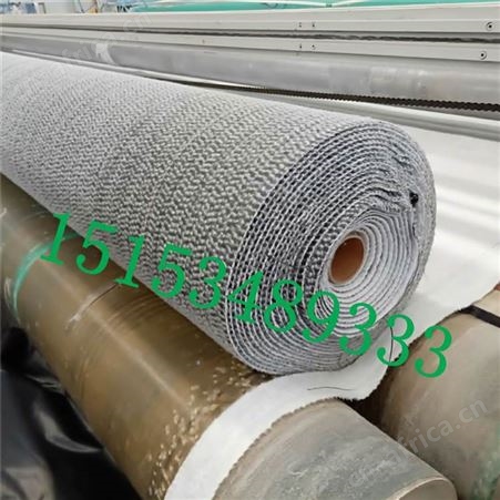 地下水库用钠基膨润土防水毯 人工湖用膨润土防水毯 覆膜防水毯