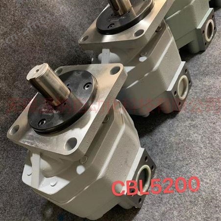 工程机械齿轮马达CBY2032/2032-131L长江液压马达-温纳
