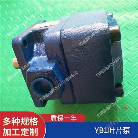 YB1-100/80,YB1-100/100温纳双联叶片泵厂家