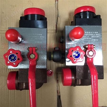蓄能器控制阀组AJS-20BZ 温纳蓄能器安全阀