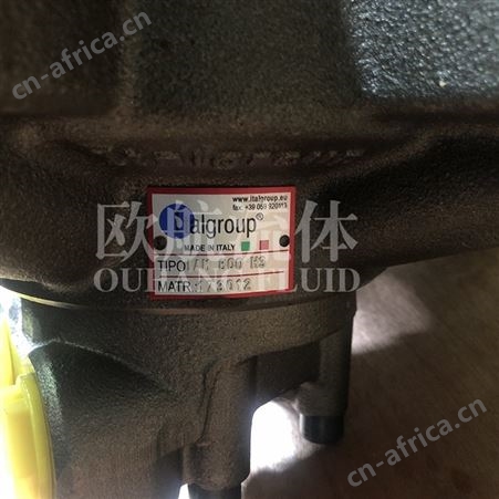 供应 维修意大利Italgroup五星马达IAM 800 H3大扭矩液压马达