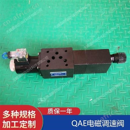 QA-F6/10D-AU,QA-F6/10D-B,QAEH-F6/10D-B-1温纳电动单向调速阀