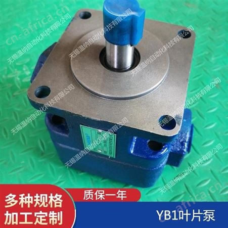 YB1-100/80,YB1-100/100温纳双联叶片泵厂家
