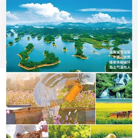 内蒙古恒亮蜂皇浆胶囊代工贴牌